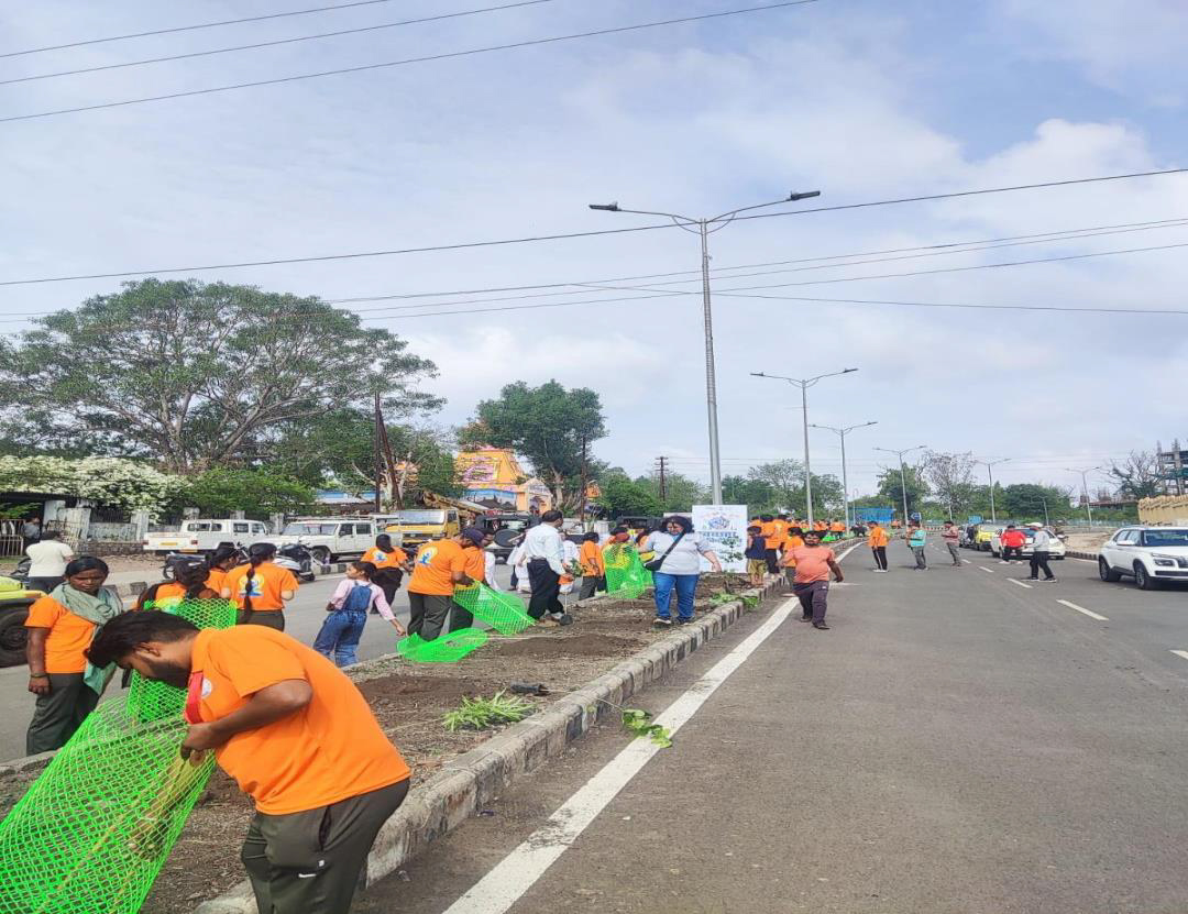 Plantation Activity 1