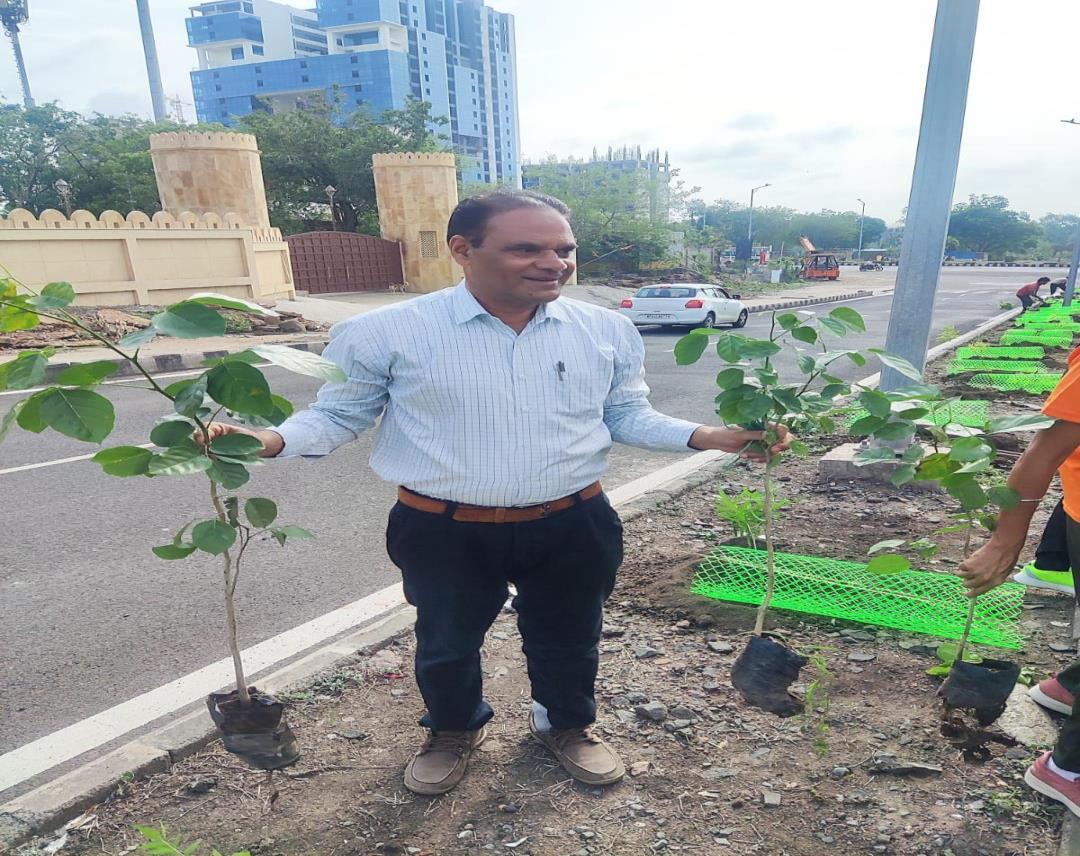 Plantation Activity 2