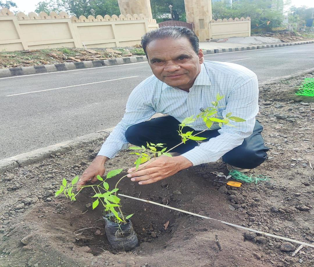 Plantation Activity 4